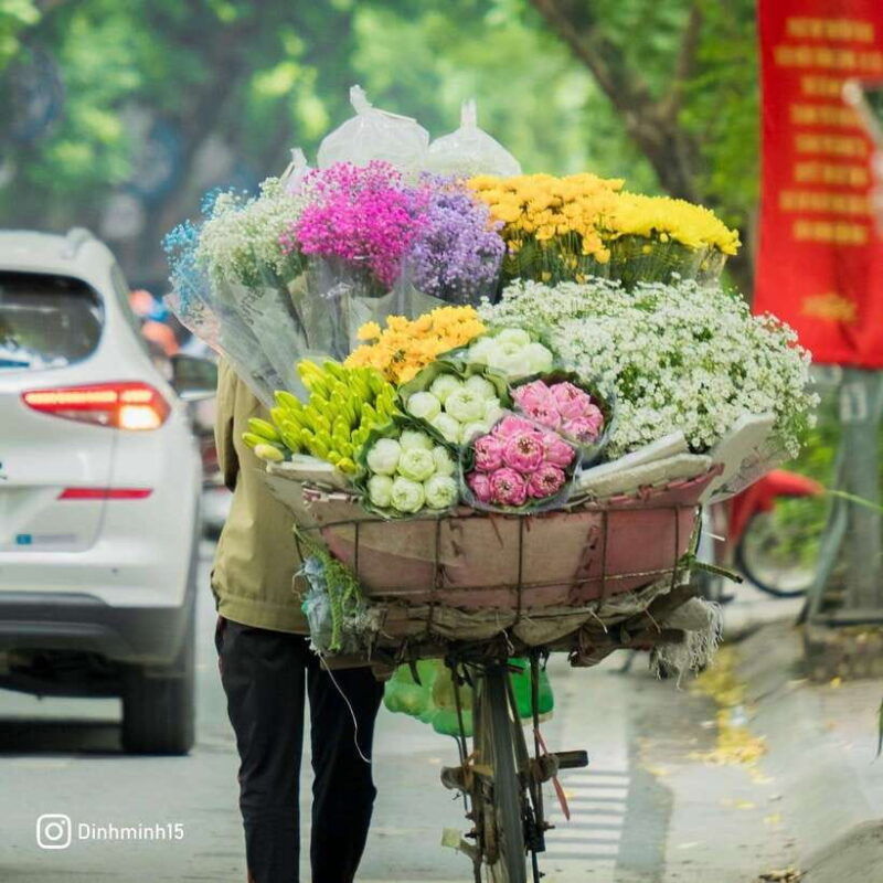 hanoi-half-day-city-sightseeing-private-tour-with-students