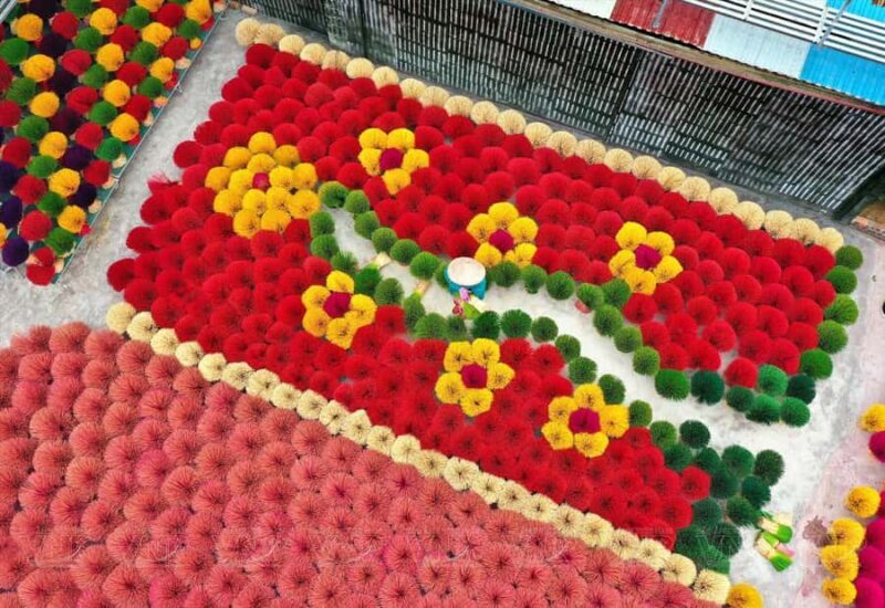 Hanoi: Hat, Incense Village or Tam Chuc World Biggest Pagoda - Introduction: An Authentic Day Trip with Plenty of Highlights