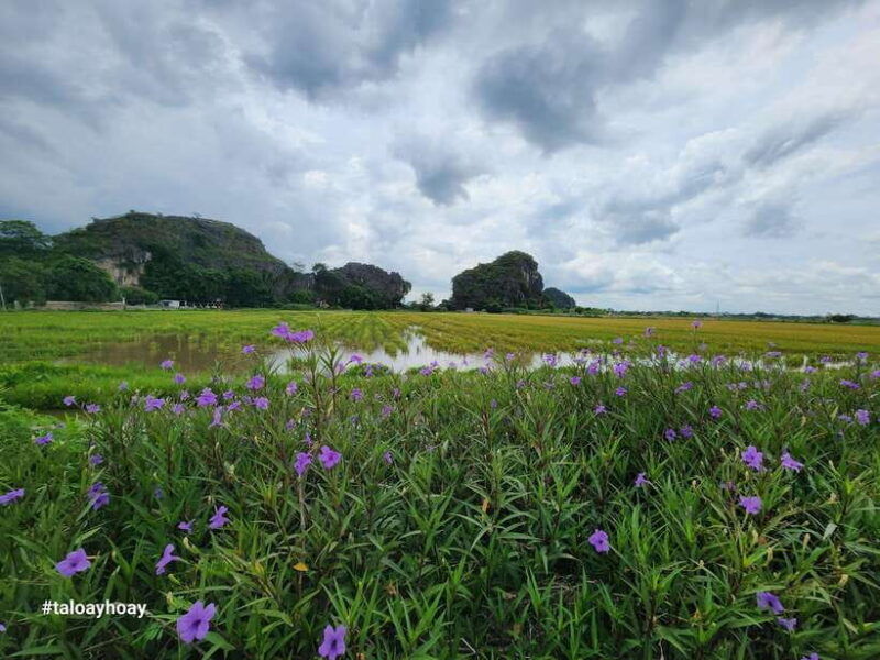 hanoi-hoa-lu-tam-coc-mua-cave-1-day-trip-by-limousine