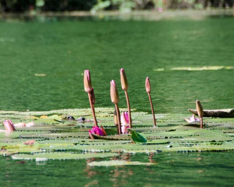 hanoi-hoa-lu-trang-an-tam-coc-mua-cave-with-small-group