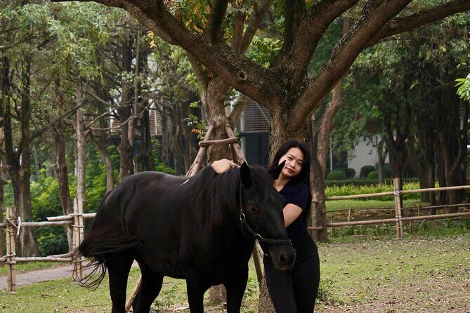 Hanoi Horseback Riding Tour - Exclusive Experience - Why You Should Consider This Tour