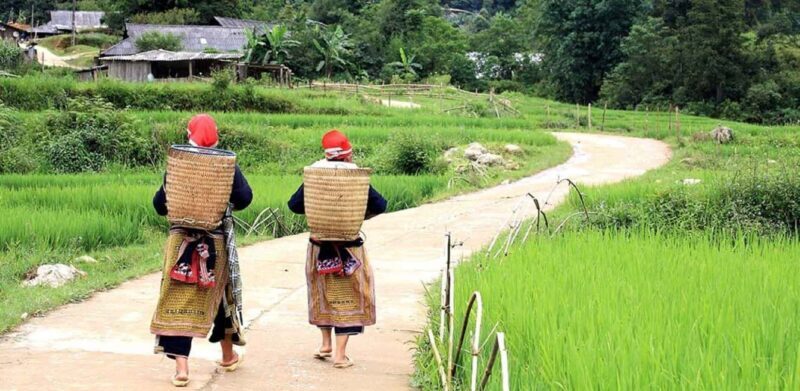 Hanoi: Mai Chau Valley 2D1N with Cycling & Foot Massage - Night Stay and Morning Trek