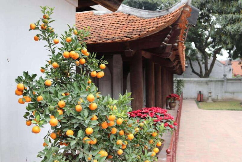 hanoi-motorbiking-to-tourist-attractions-street-food-tour