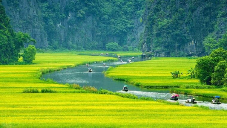 hanoi-ninh-binh-day-trip-visit-hoa-lu-tam-coc-mua-cave
