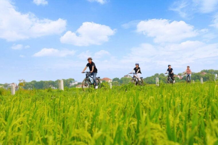 hanoi-ninh-binh-day-trip-visit-hoa-lu-tam-coc-mua-cave