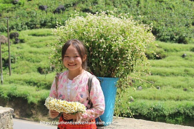 Hanoi- Ninh Binh Luxury Day Trip Small Group of 8: Hoa Lu,Tam Coc - FAQ