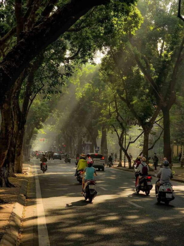 Hanoi Old Quarter City Sightseeing With Water Puppet Show - End with a Cultural Classic: The Water Puppet Show