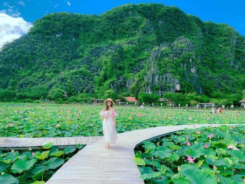 Hanoi: Private Ninh Binh Hoa Lu, Trang An/Tam Coc & Mua Cave - Final Thoughts  