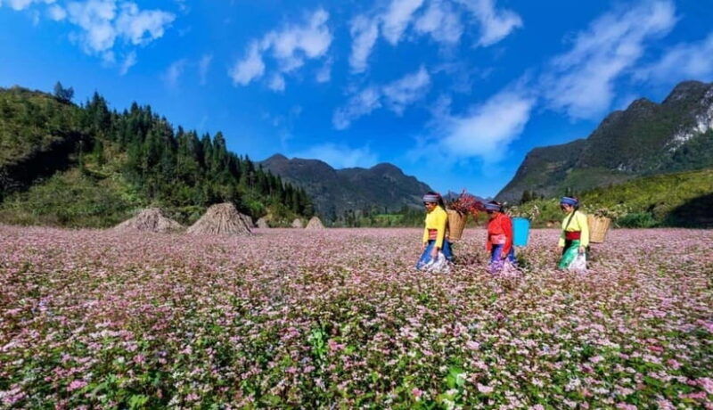 hanoi-private-or-group-3-days-ha-giang-with-motorbike-tour
