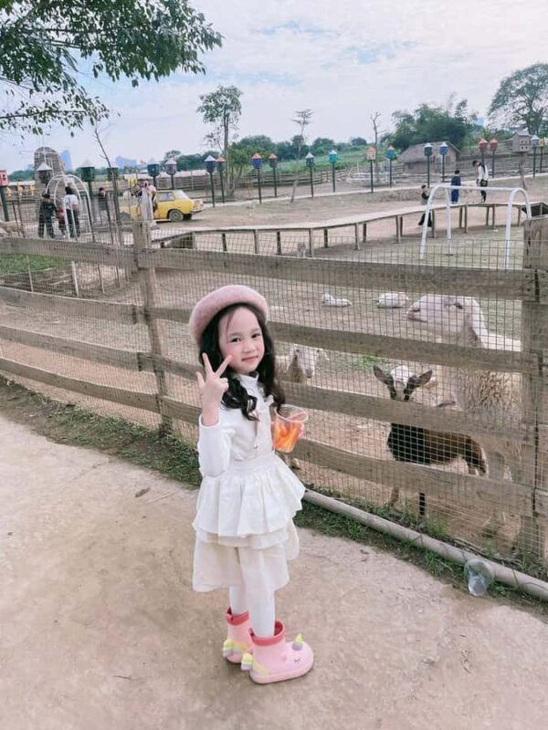 Hanoi: Rainbow Slide & Horse Riding  Small Group Half-day - Additional Practical Details