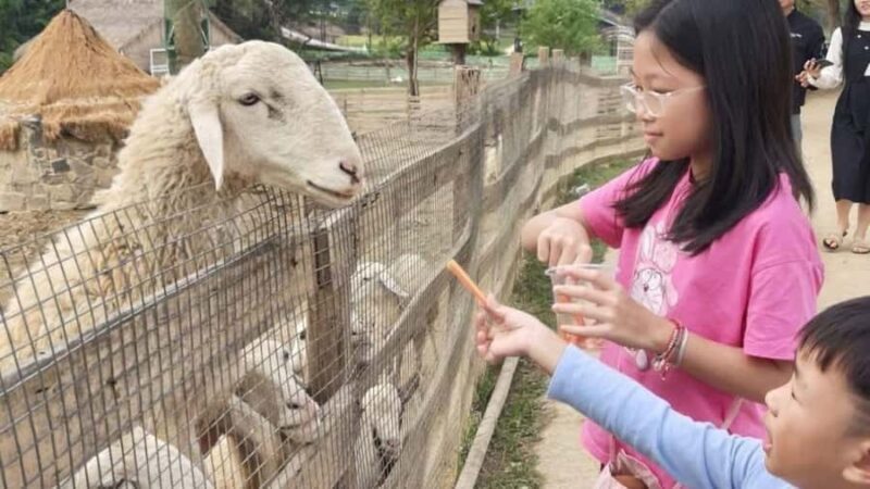 Hanoi: Rainbow Slide & Horse Riding  Small Group Half-day - Who Is This Tour Best For?