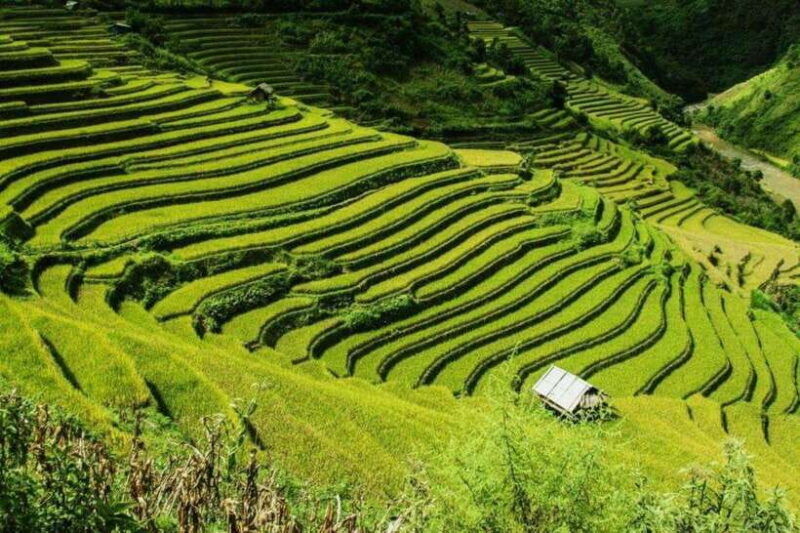 hanoi-sapa-3-days-2-nights-lao-chai-ta-van-trekking-tour