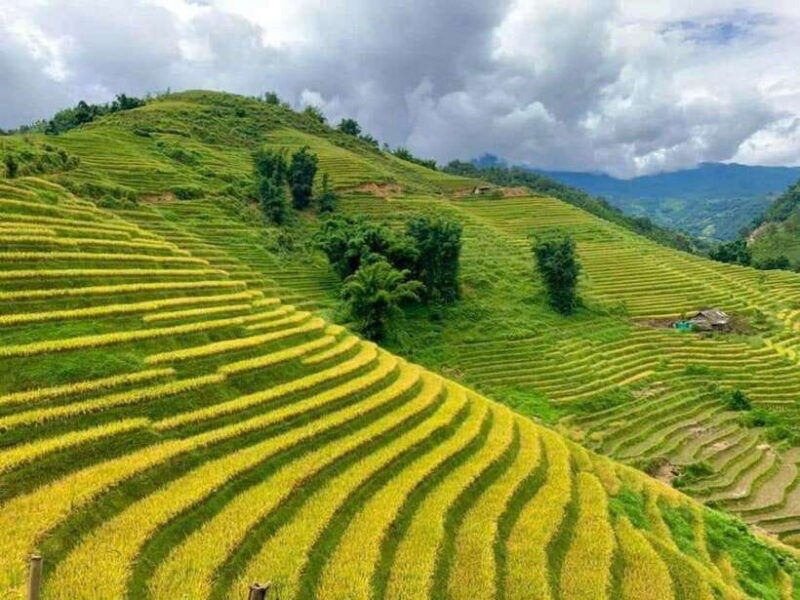 hanoi-sapa-3-days-2-nights-lao-chai-ta-van-trekking-tour