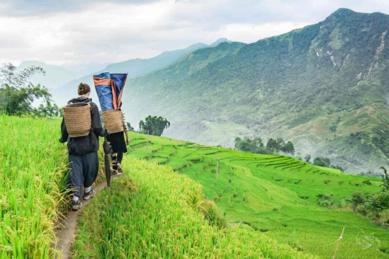 Hanoi: Sapa Trekking 2 Days 1 Night - Sleeper Bus from Hanoi - Who’s This Tour Best For?