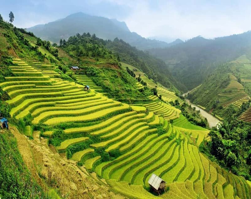 Hanoi: Sapa Trekking 2 Days 1 Night Transfer with Cabin Bus - An In-Depth Look at the 2-Day Sapa Trekking Experience