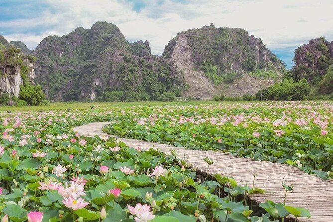 Hanoi to Ninh Binh Day Trip: Mua Cave, Trang An Boat Ride - Lunch - Convenience and Comfort: Transport and Starting Point