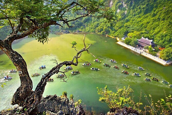 Hanoi to Ninh Binh: Hoa Lu, Trang An Boat & Mua Cave Day Tour - Exploring the Heart of Vietnam: The Full-Day Ninh Binh Tour from Hanoi