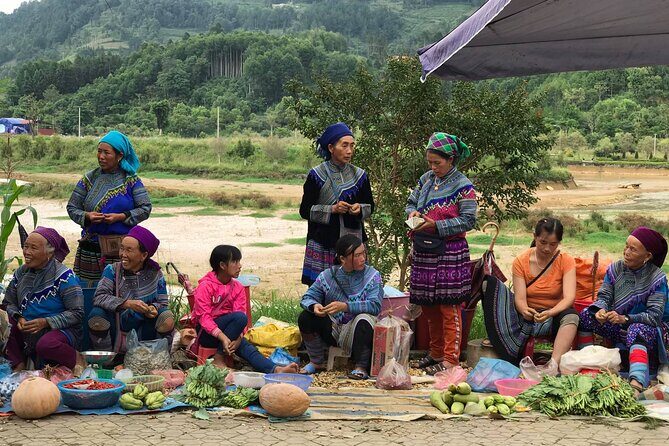 Hanoi to Sapa: 2-Day Trekking Adventure with Overnight Homestay - Transportation, Accommodation & Meals: What’s Included?