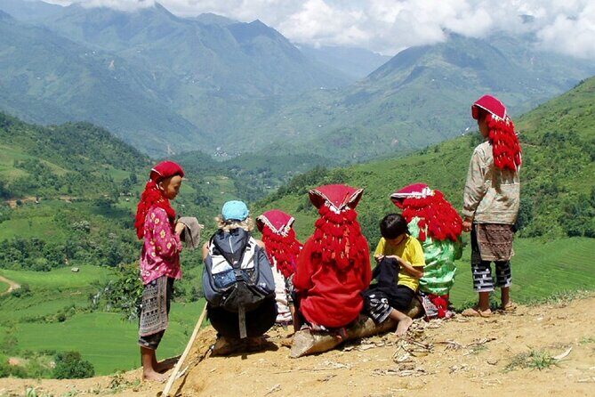 Hanoi to Sapa: Daily Luxury Limousine Transfers - Pricing and Value Analysis