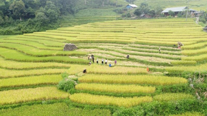Hanoi to Sapa: Terraced Fields, Culture & Cuisine 3 Days - FAQ