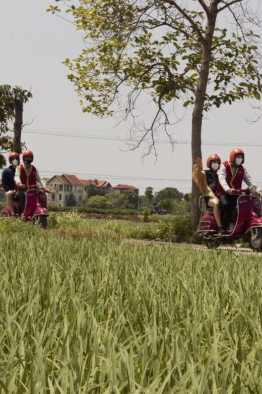 Hanoi Vintage Vespa Tours: A Half-Day Countryside Adventure - The Itinerary: A Closer Look