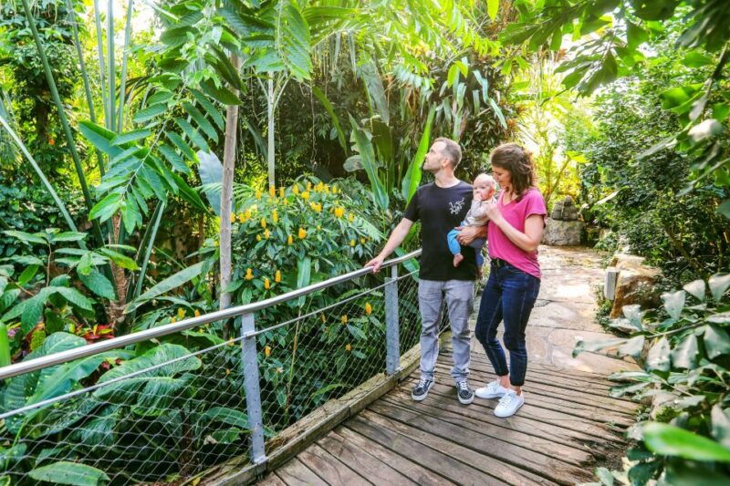 hanover-sea-life-entry-ticket