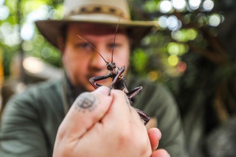 hanover-sea-life-entry-ticket