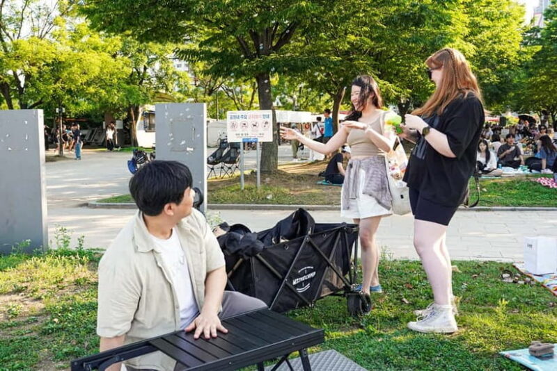 Han's River Picnic in Center of Seoul - Final Thoughts: Is It Worth It?