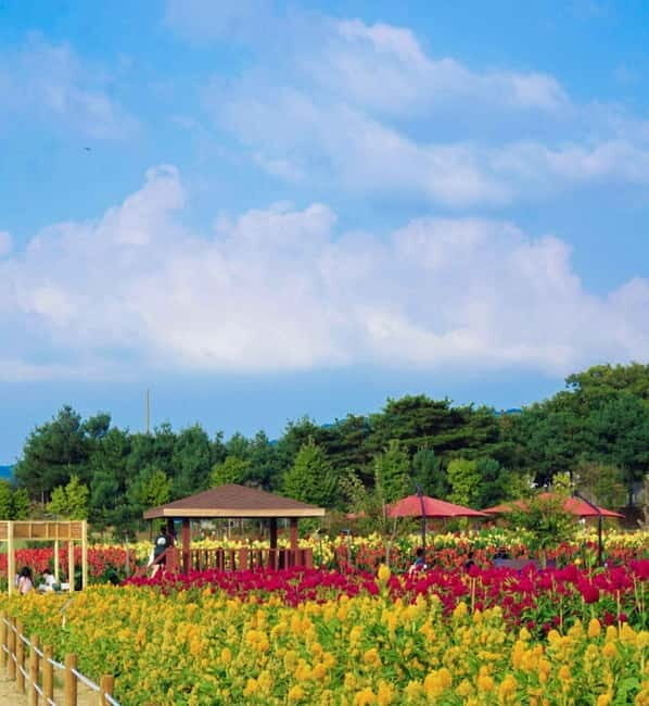 Hantan Canyon & Goseokjeong Flower Garden & Pink Muhly Park - Key Points