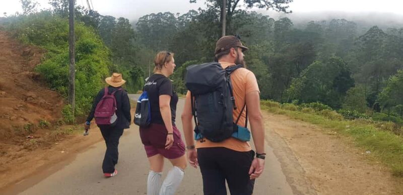 Hantana Mountain Range Pekoe Trail Full Day Hike from Kandy - An In-Depth Look at the Tour