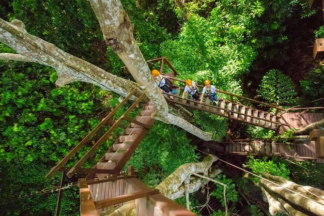 Hanuman Ziplines Adventure Tours - FAQs