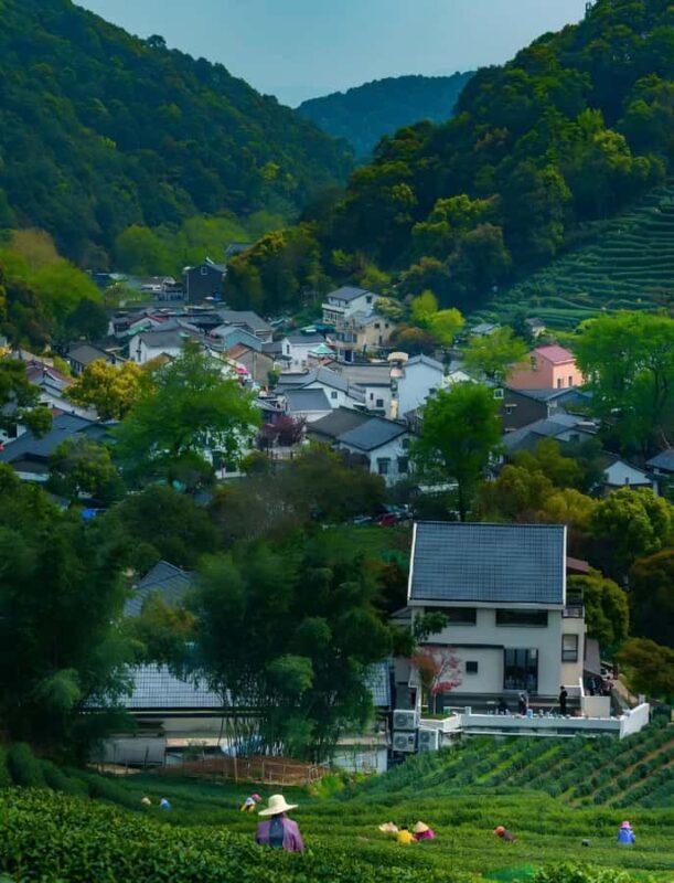 Hanzghou H-quality daytour: Xixi Wetland & Longjing Village - Walking Through Green Canopies on Nine Creek Ancient Road