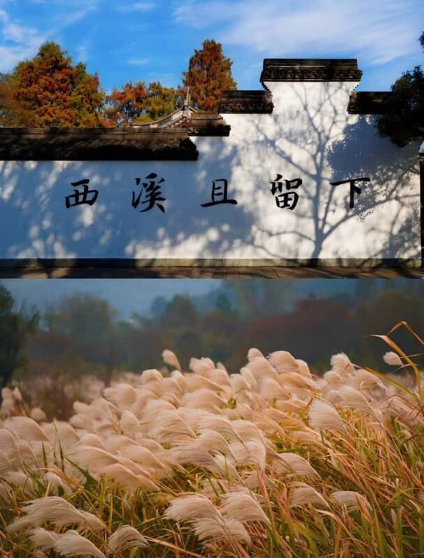 Hanzghou H-quality daytour: Xixi Wetland & Longjing Village - FAQ