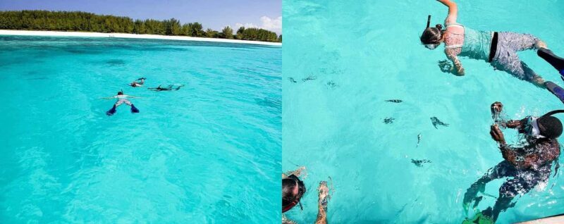 Happy new year: 2-Day Zanzibar New Year's Eve Getaway - Day 2: Beaches, Wildlife, and Sunset Views