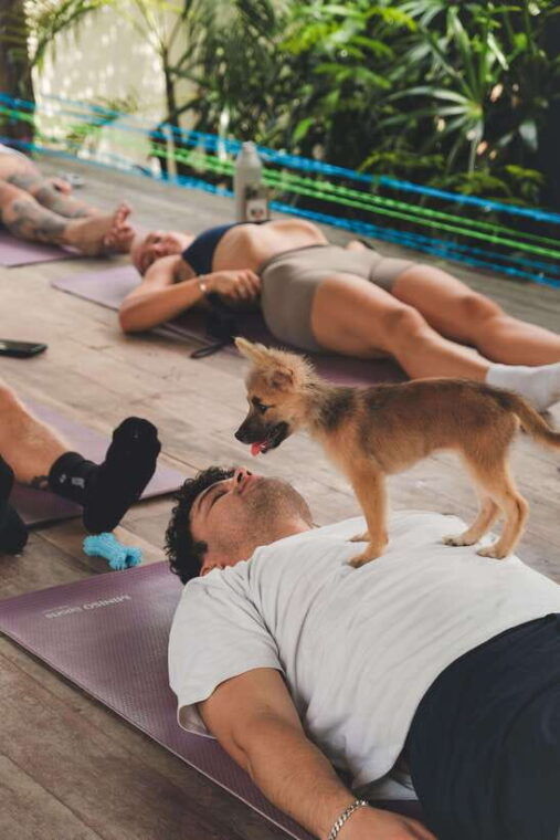 happy-puppy-yoga-canggu