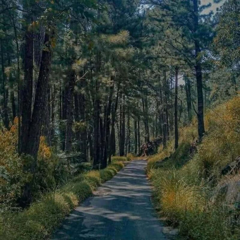 Haputale Day Tour by Tuk Tuk - Nature & Culture - FAQ