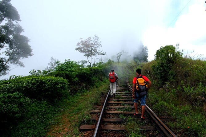 Haputale Tea Estate Walking Tour From Ella - Key Points