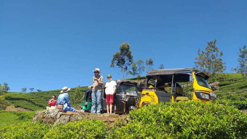 haputaleglorious-tuk-tuk-ride-to-liptonsseat-tea-factory