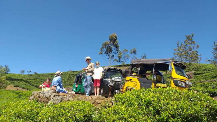haputaleglorious-tuk-tuk-ride-to-liptonsseat-tea-factory