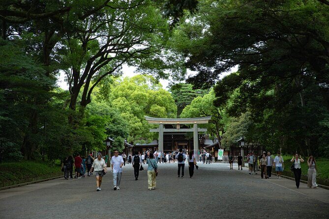 Harajuku Meiji Shrine Walking Tour in Tokyo - Meiji Jingu Shrine (40 minutes)