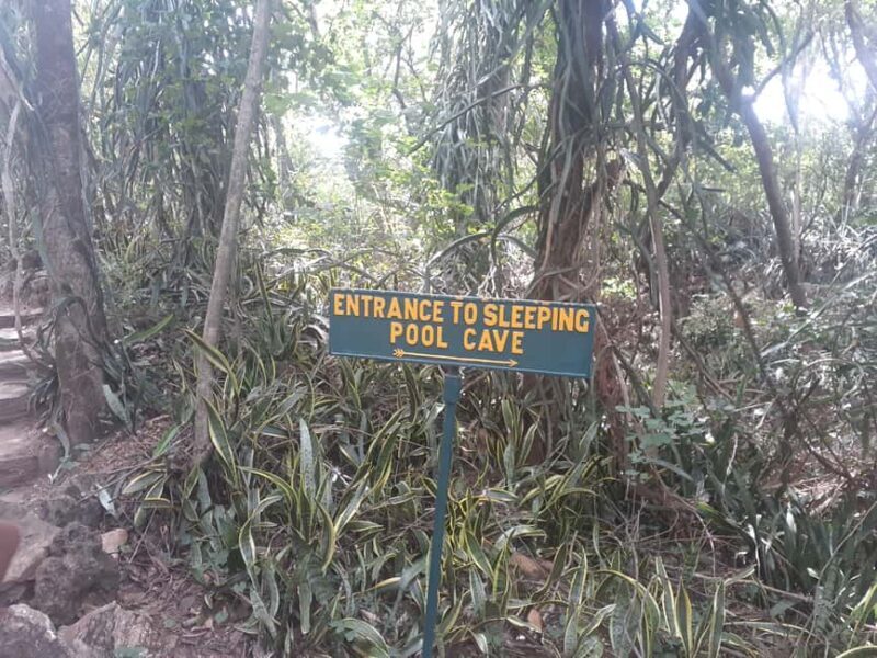 Harare: Chinhoyi Caves Day Trip with Lunch and Transfer - Insights from Other Travelers