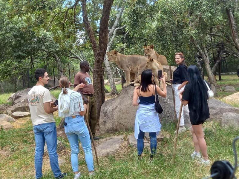 Harare: Half Day Outdoor Adventure - Key Points