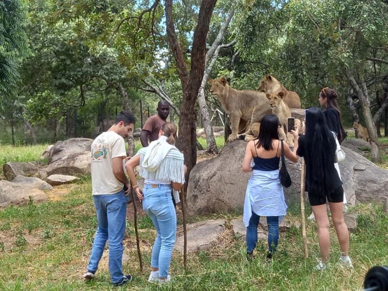 Harare: Half Day Outdoor Adventure - Exploring the Harare Half Day Outdoor Adventure in Detail