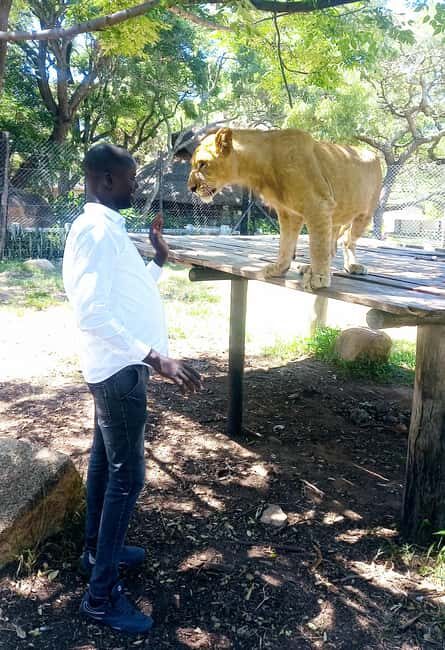 Harare: Half Day Outdoor Adventure - Frequently Asked Questions