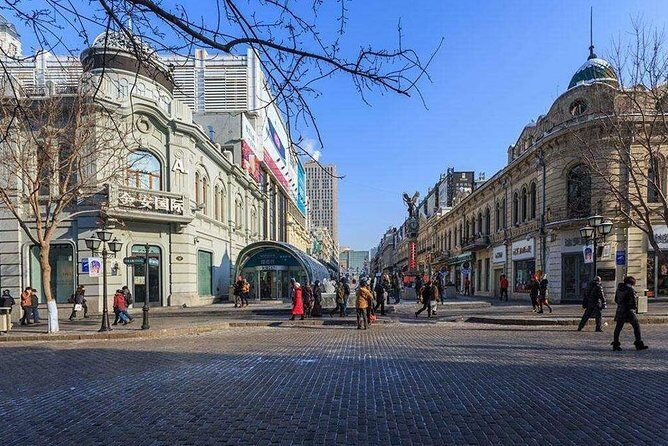 Harbin City Group Tour including Crossing Songhua River by Ropeway and Ice Swimming Show - Who Is This Tour Best For?