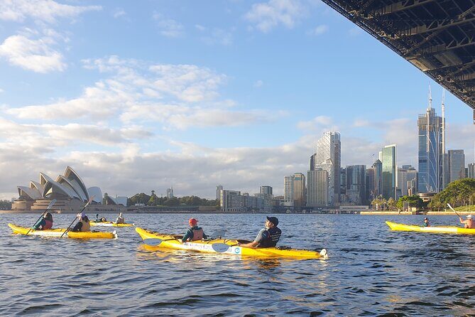 Harbour Bridge Breakfast Paddle - Authentic Experiences from Past Travelers