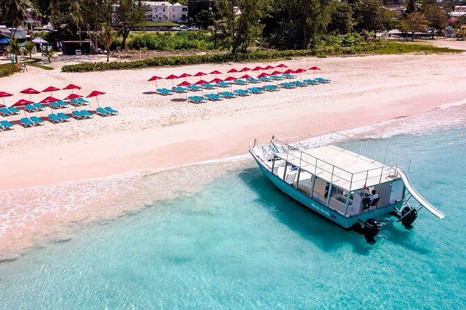 harbour-lights-chair-turtle-shipwreck-snorkel-tour1030-130pm