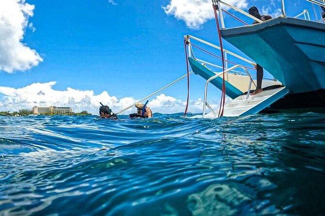 harbour-lights-chair-turtle-shipwreck-snorkel-tour1030-130pm