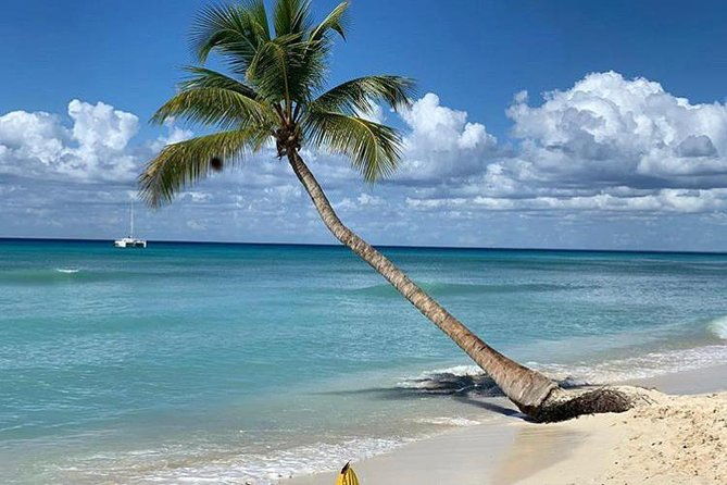hard-rock-punta-cana-round-trip-private-shuttle-15passenger-max