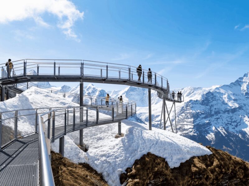 Harder Kulm and Grindelwald Private Day Trip - Review of the Harder Kulm and Grindelwald Private Day Trip